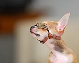 848103473_28218f3abe_m.jpg image by Bepperex